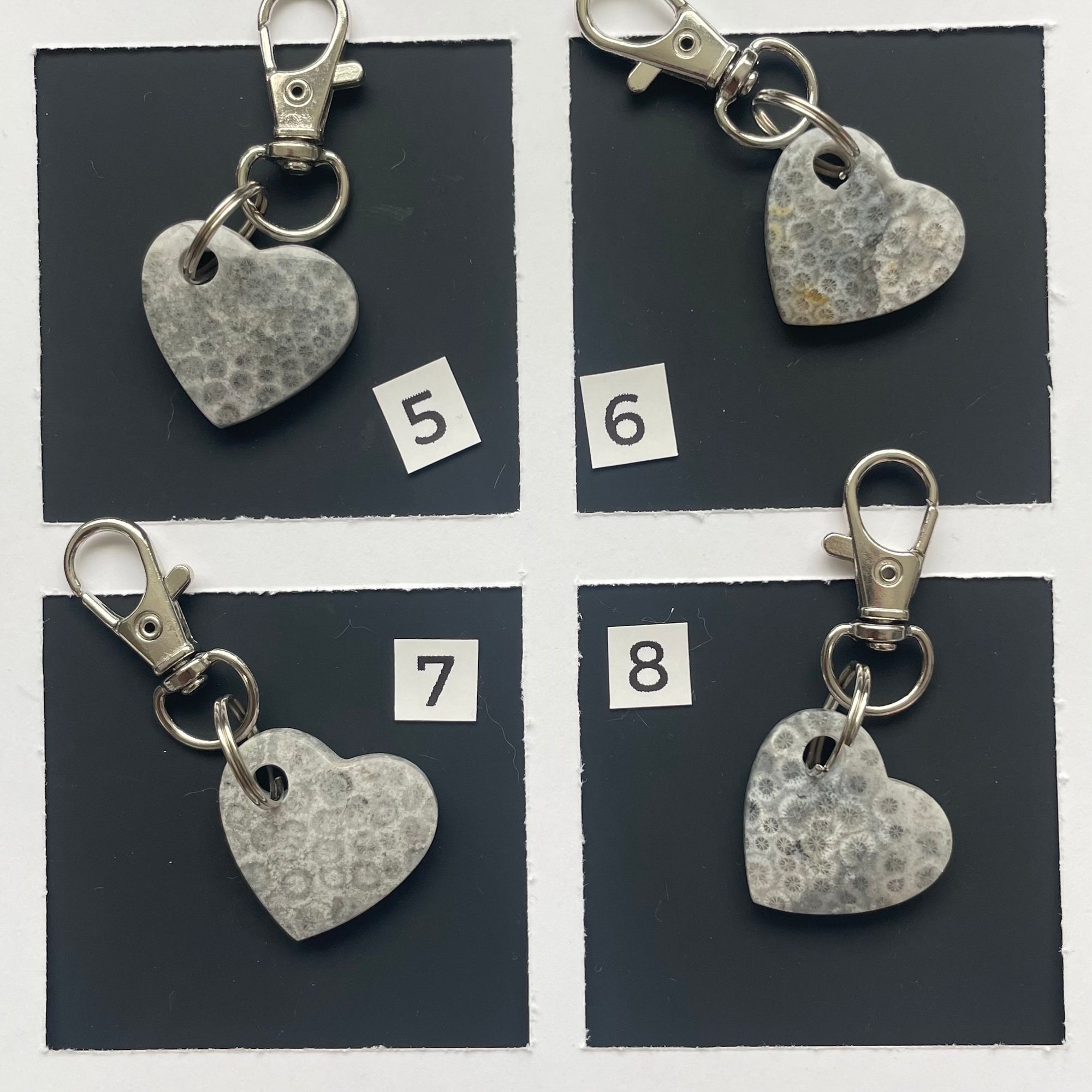 Fossilized Coral Keychains