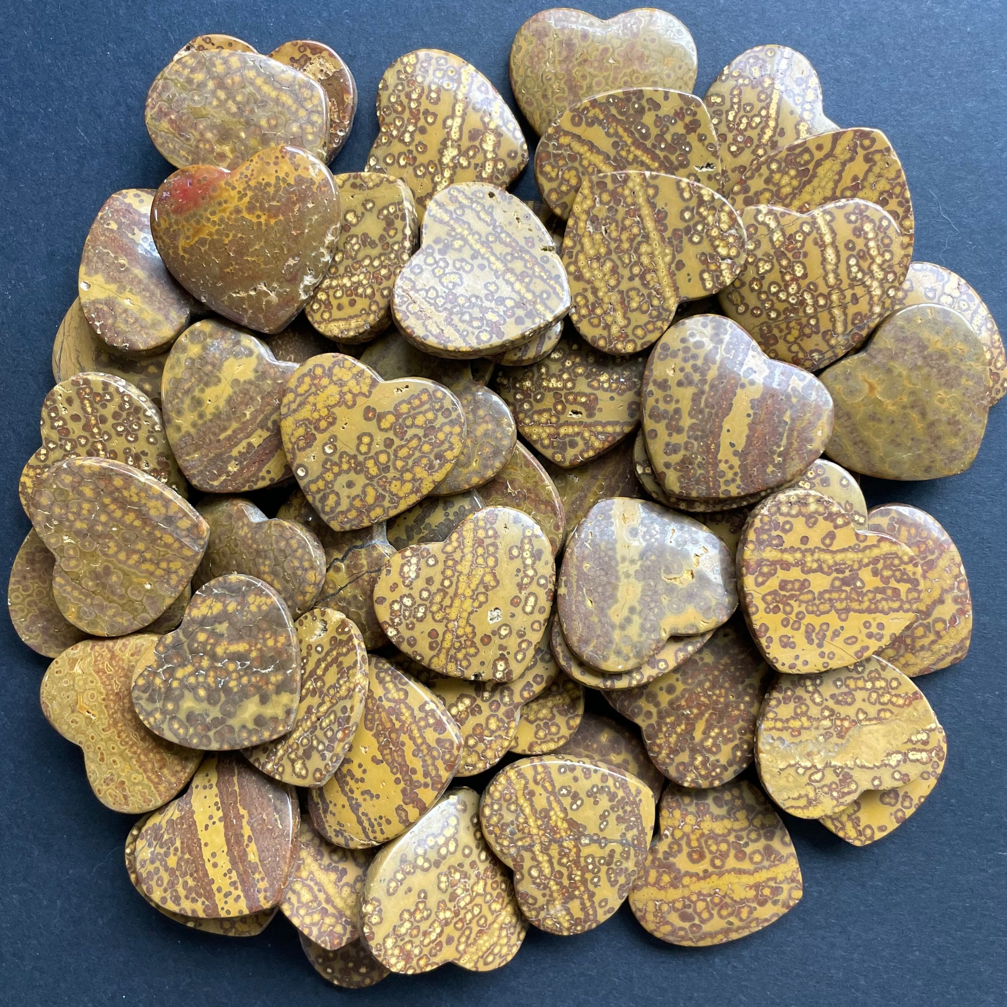 Yellow Orbicular Jasper