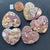 Family of 5 Red Ocean Jasper