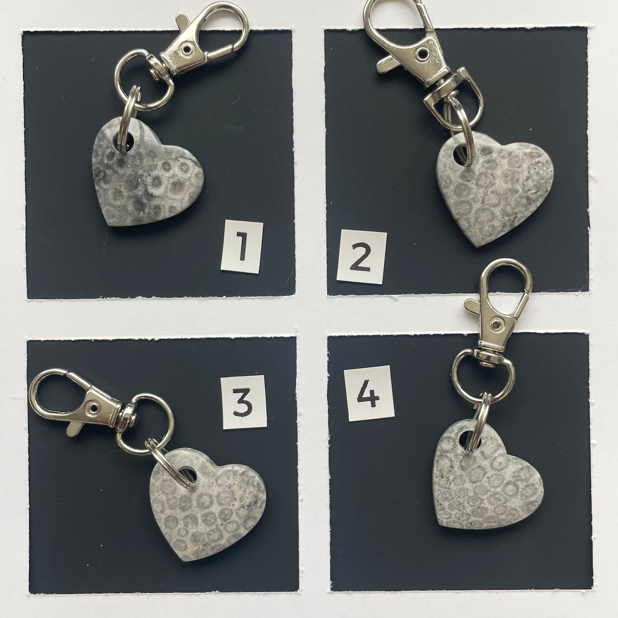 Fossilized Coral Keychains