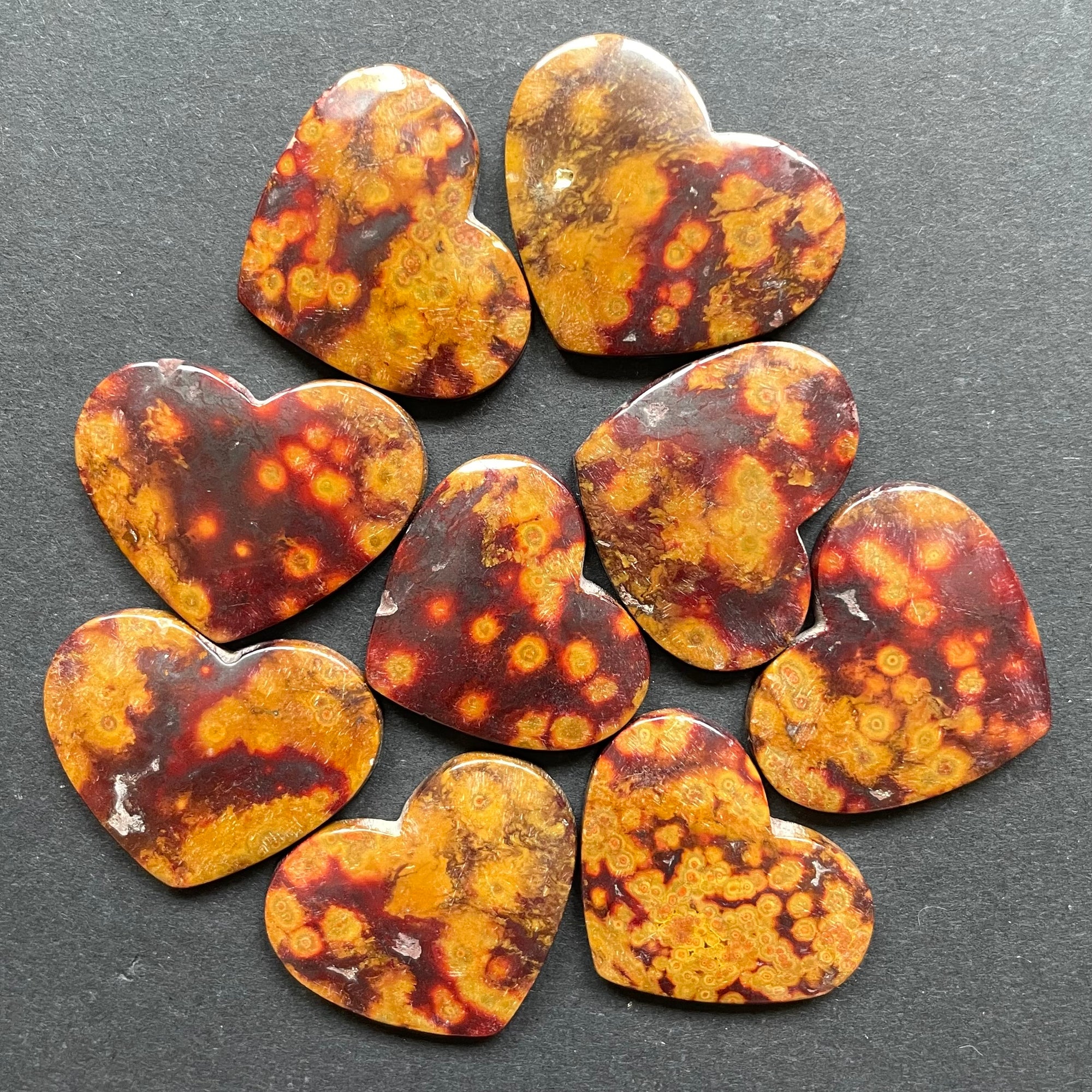 Bright-eyed Orbicular Jasper