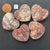 Family of 5 Red Ocean Jasper