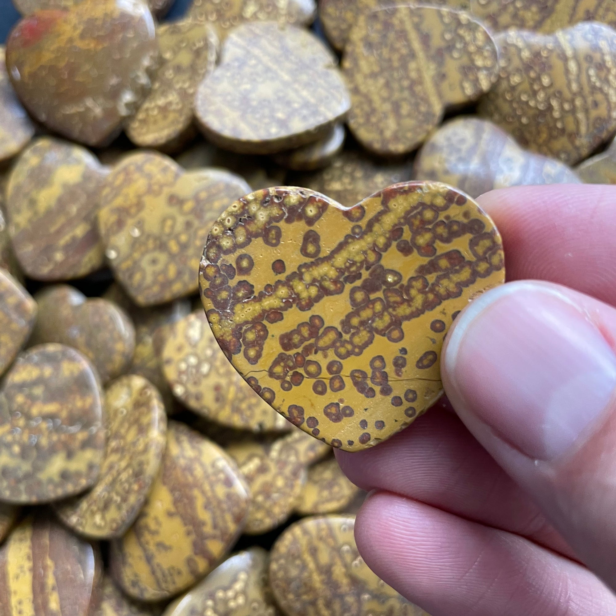 Yellow Orbicular Jasper