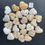 Bundles: Fancy Yellow Banded Calcite